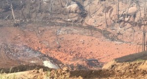 Ten acres burned over in northern panhandle
